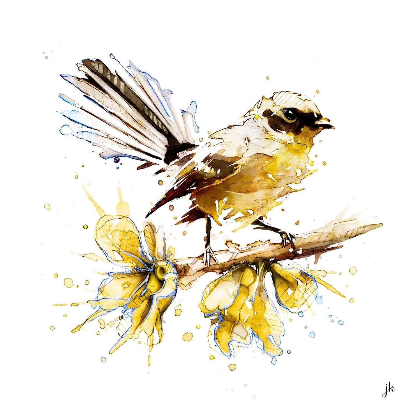 jeremy kyle art watercolour piwakawaka fantail