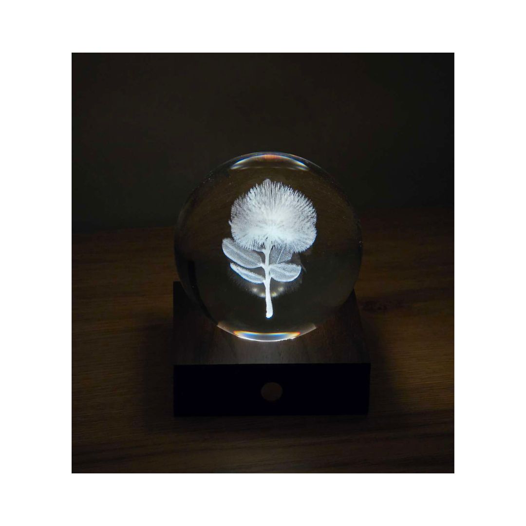 gingko pōhutukawa 3d led night light 12cm