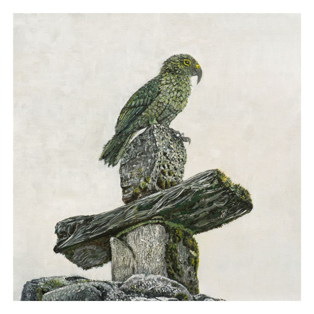 Kea on Summit - Limited Edition Print