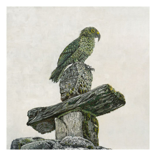 Kea on Summit - Limited Edition Print