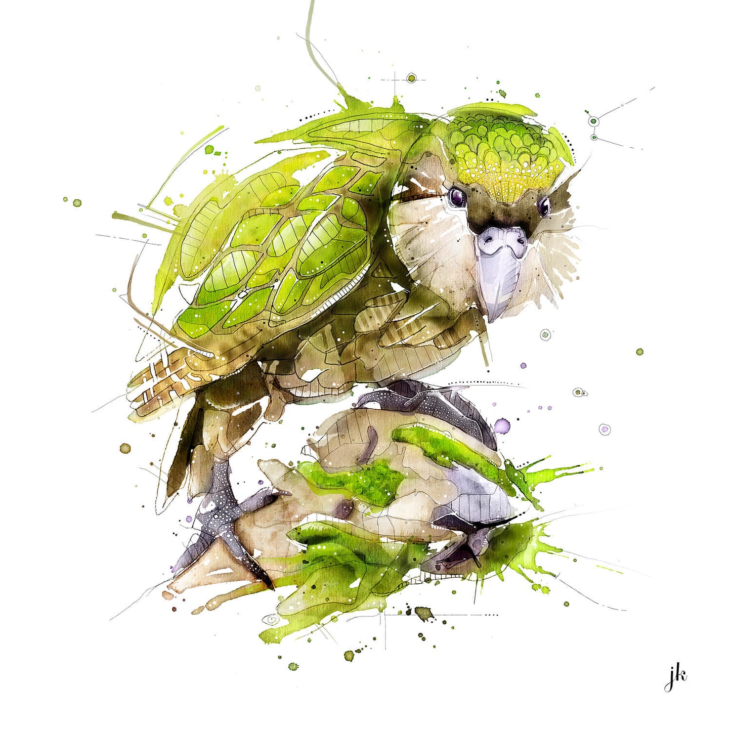 jeremy kyle art watercolour kakapo