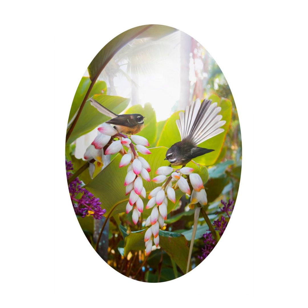 lucy gauntlett gift card piwakawaka fantail