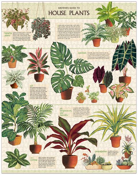 cavallini vintage jigsaw puzzle house plants