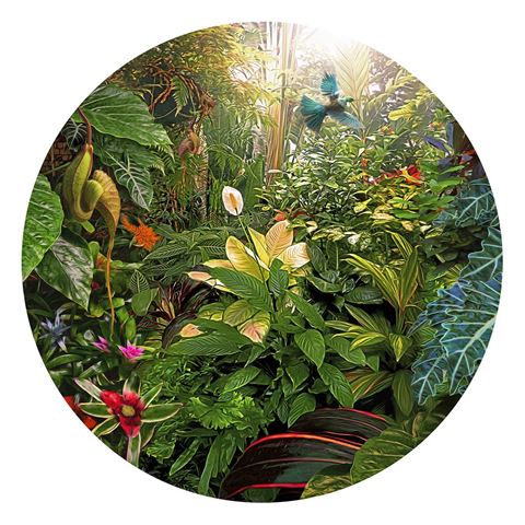 lucy gauntlett gift card earthly delights