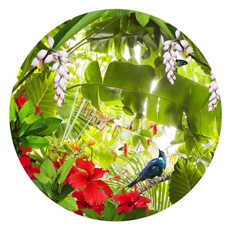 lucy gauntlett gift card tui paradise