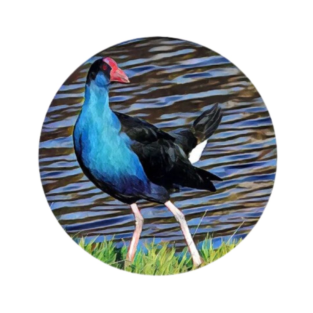coasters nz birds set 6 pukeko