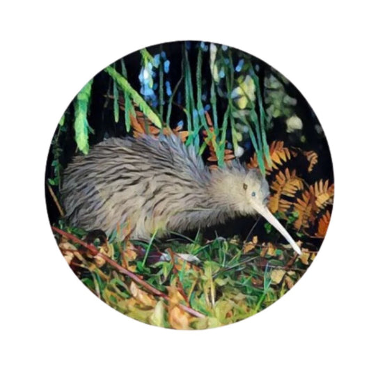 coasters nz birds set 6 kiwi