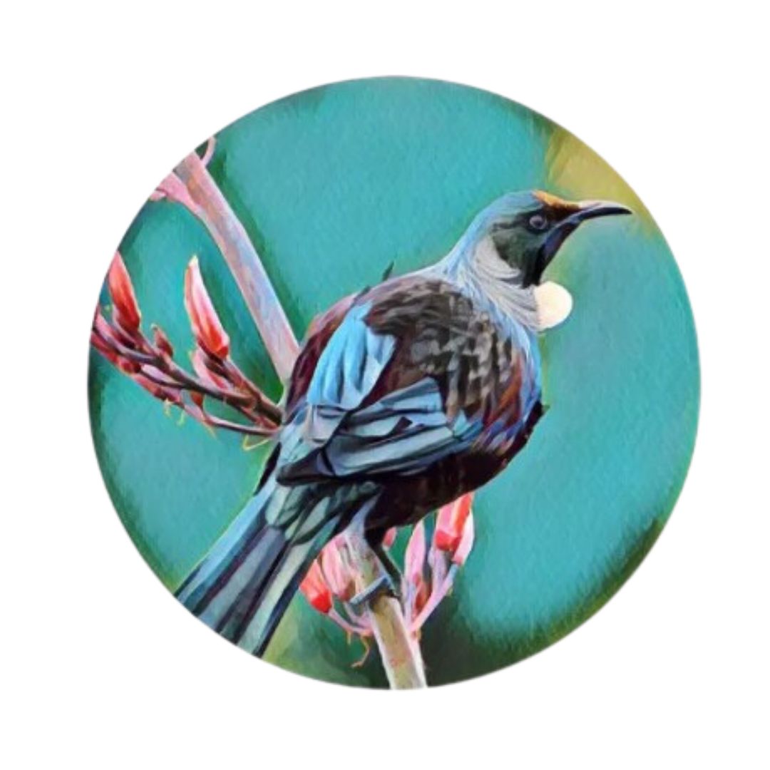 coasters nz birds set 6 tui