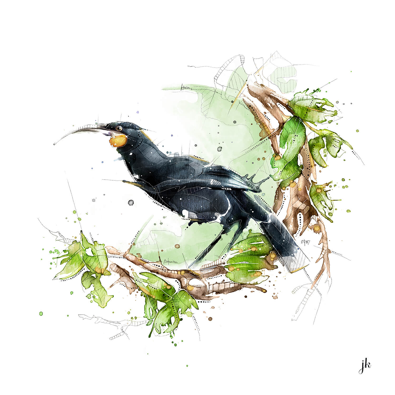 jeremy kyle art watercolour huia