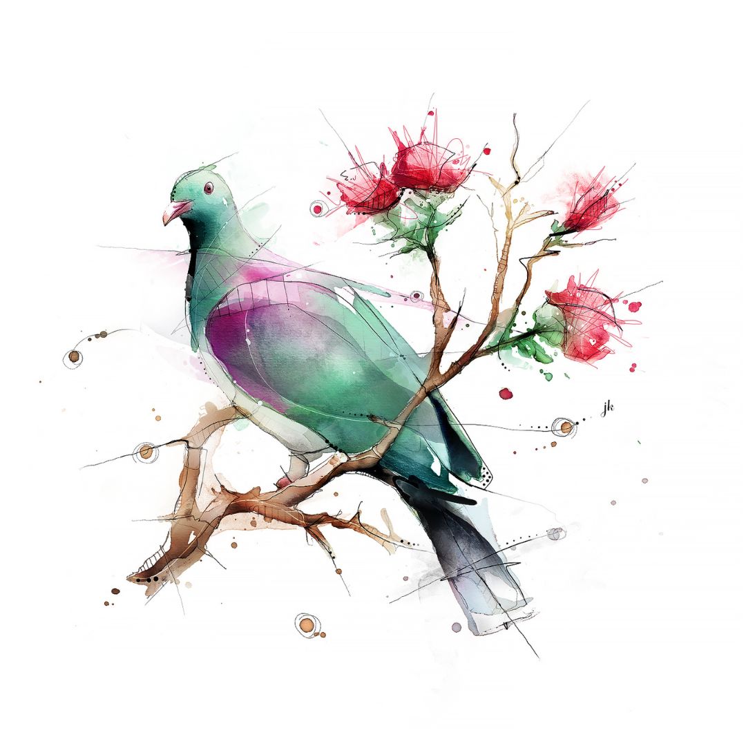 jeremy kyle nz native bird print 20cm kereru wood pigeon