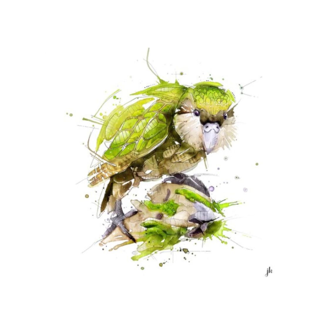 jeremy kyle nz native bird print 20cm kakapo