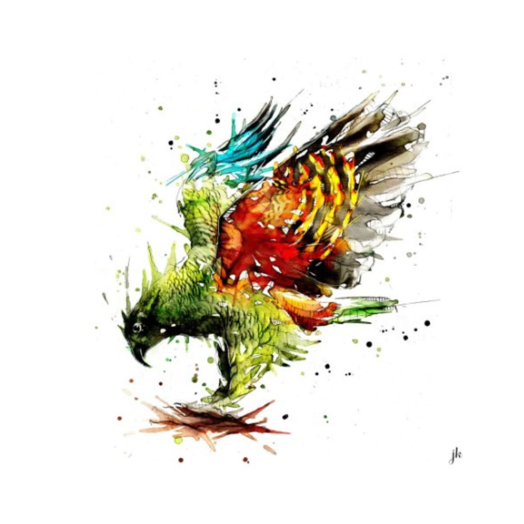 jeremy kyle nz native bird print 20cm kea