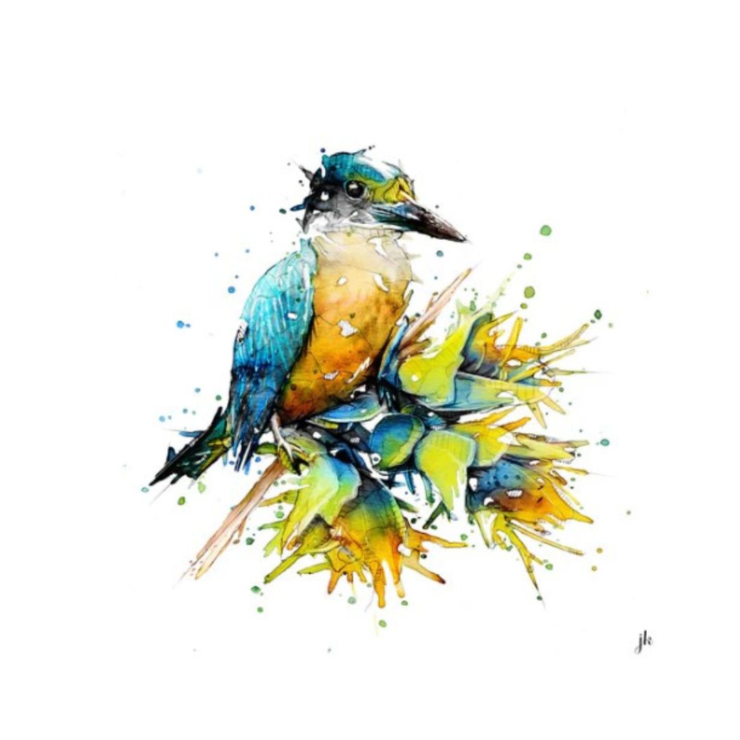 jeremy kyle nz native bird print 20cm kingfisher