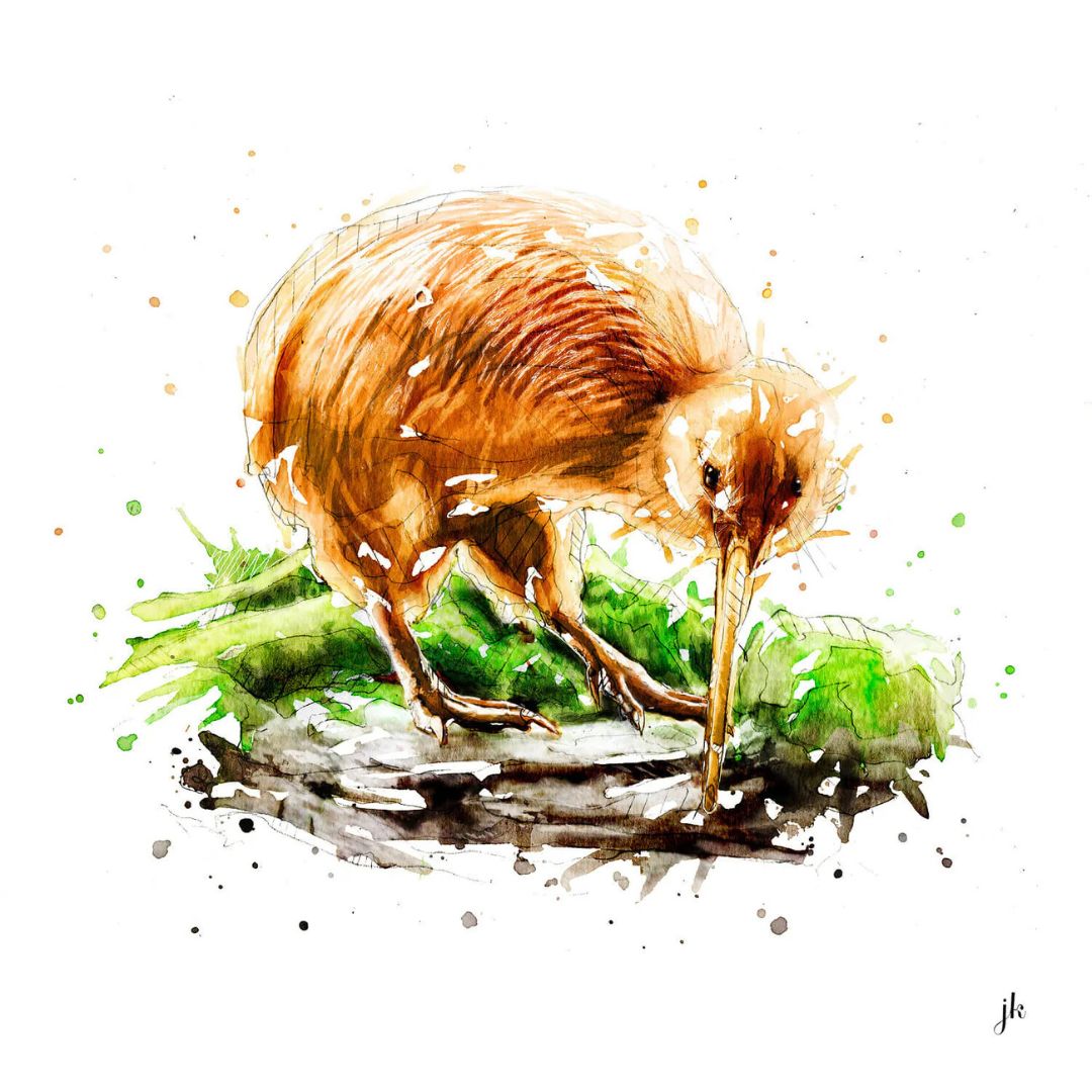 jeremy kyle nz native bird print 20cm kiwi