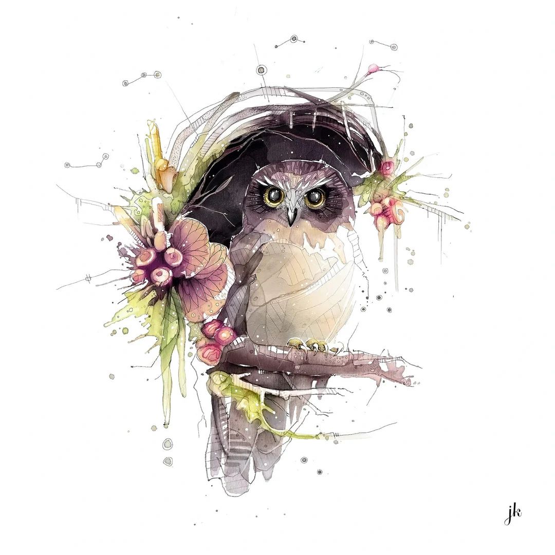 jeremy kyle nz native bird print 20cm morepork ruru