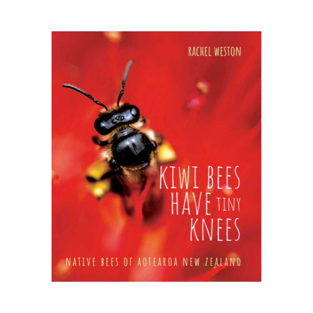 book kiwi bees have tiny knees rachel weston native