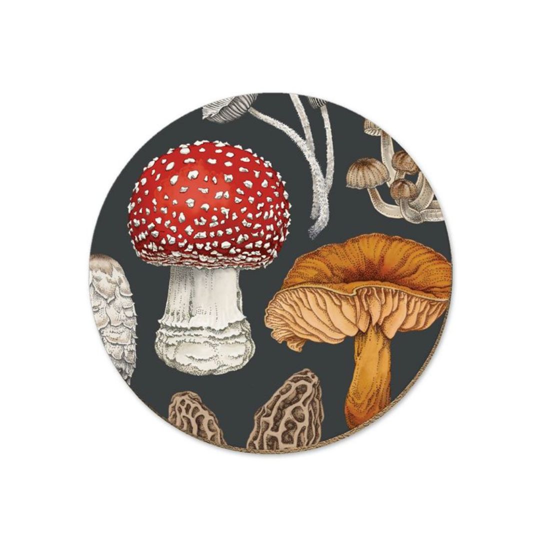 tanya wolfkamp coaster nz morchella fungi