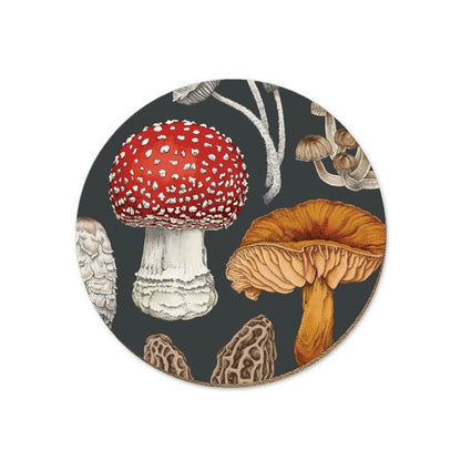 tanya wolfkamp coaster nz morchella fungi