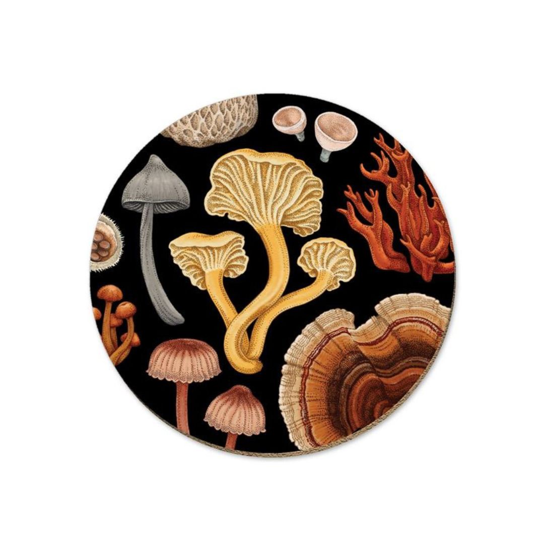 tanya wolfkamp coaster nz bolete fungi