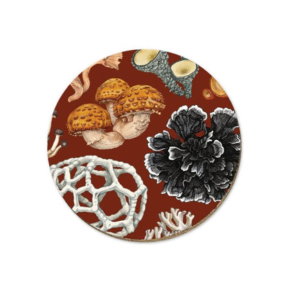 tanya wolfkamp coaster nz phellodon fungi