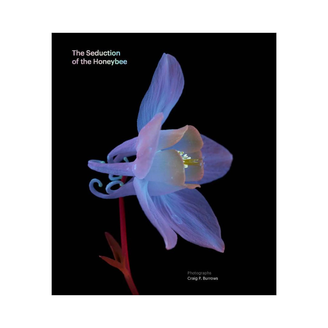 book seduction honey bee craig burrows uv photography hardcover cover