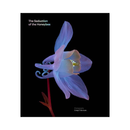 book seduction honey bee craig burrows uv photography hardcover cover