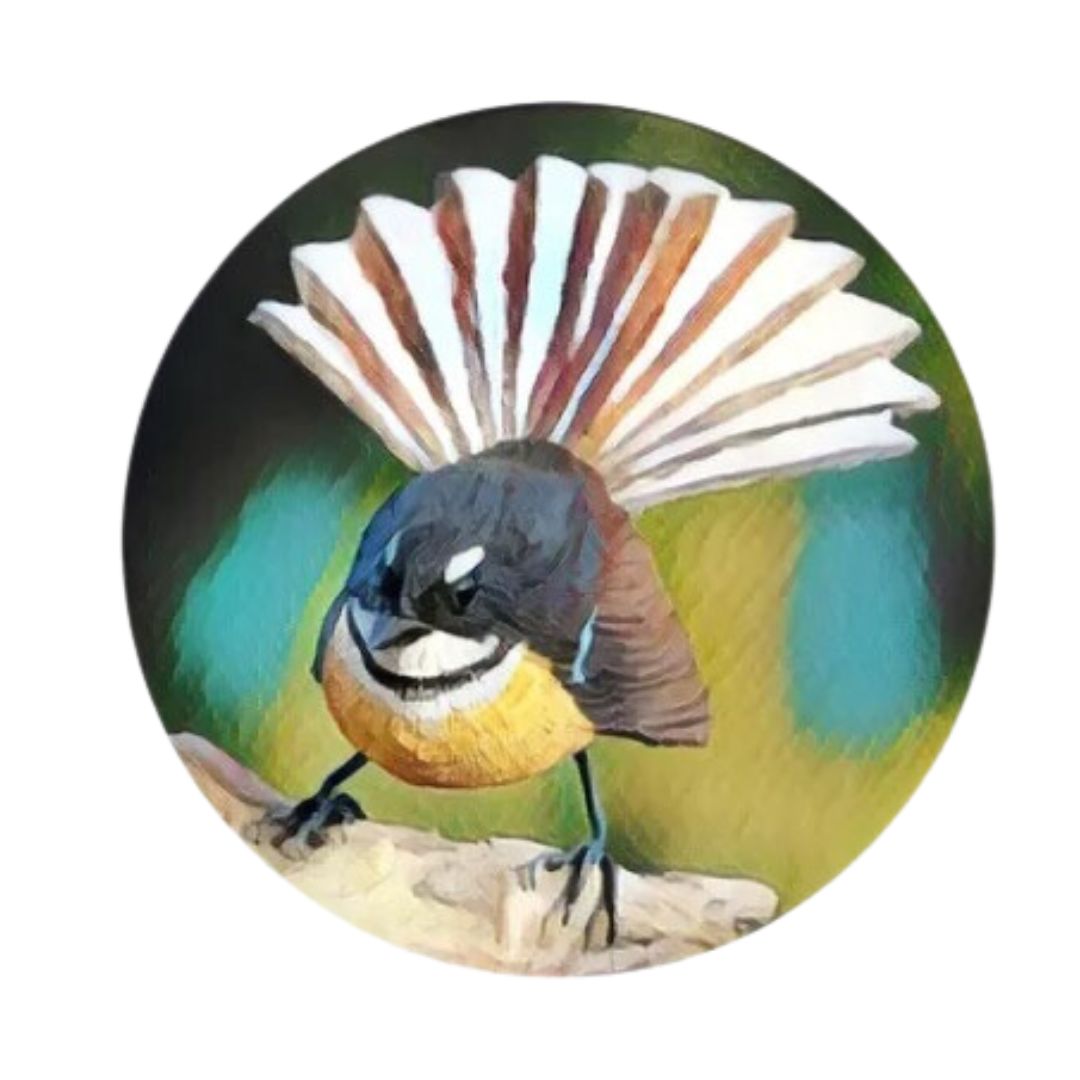 coasters nz birds set 6 piwakawaka fantail