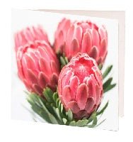 gift card 7cm pink proteas