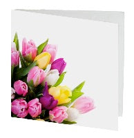 gift card 7cm tulips