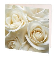 gift card 7cm white roses